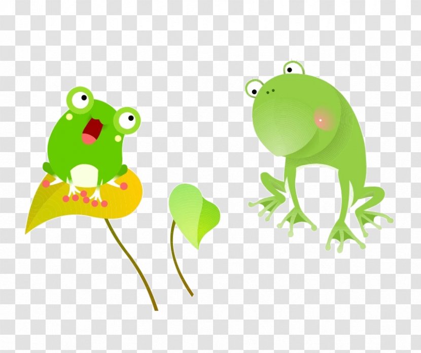 Frog Lithobates Clamitans Cartoon - Organism Transparent PNG