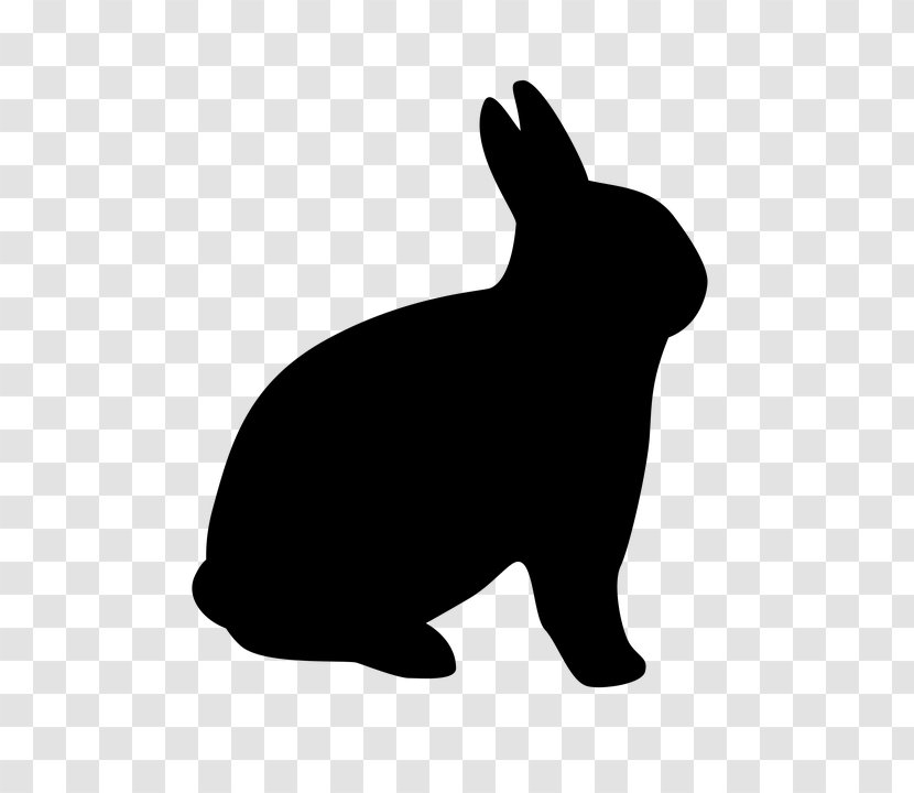Hare Domestic Rabbit Chinchilla - Black Transparent PNG
