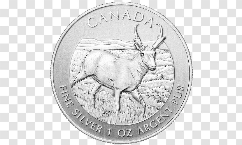 Pronghorn Canada Canadian Wildlife Bullion Coin Royal Mint - Fauna Transparent PNG