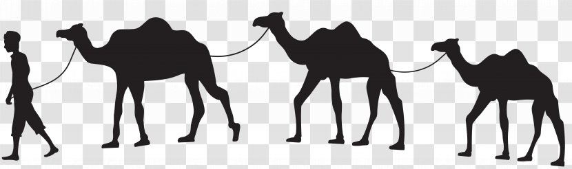 Camel Train Caravan Clip Art - Livestock - Silhouette Transparent PNG