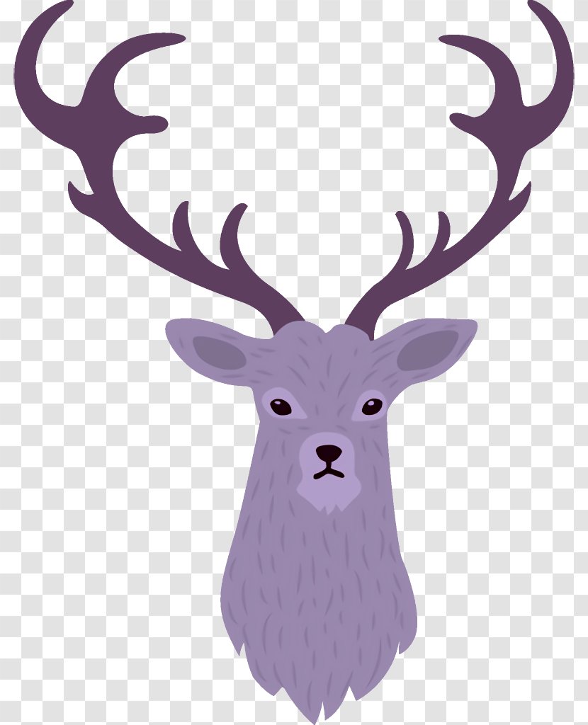 Reindeer Christmas - Deer - Wildlife Purple Transparent PNG