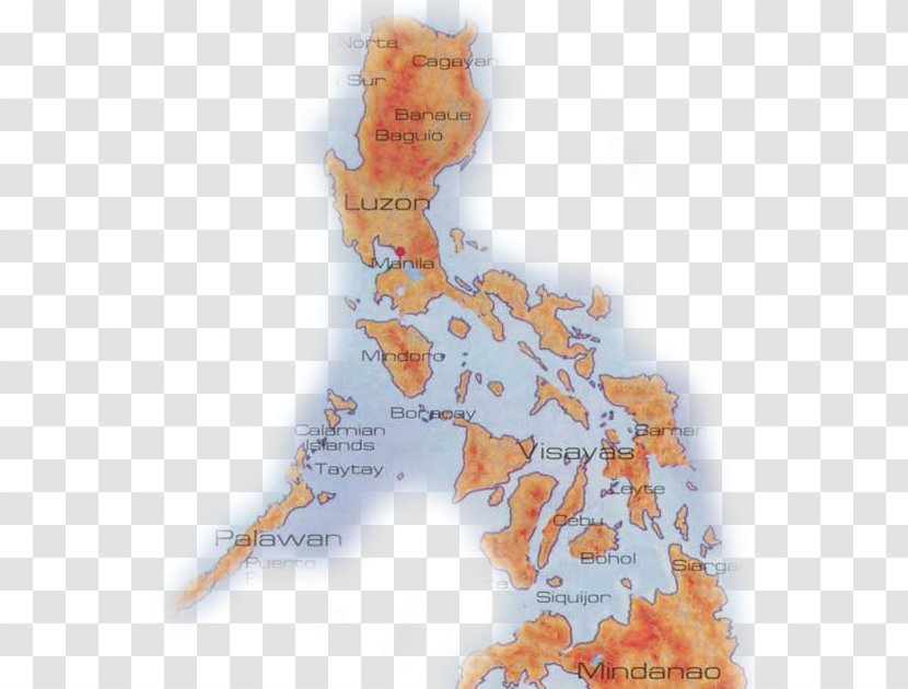Philippines Map Organism Tuberculosis Island Transparent PNG