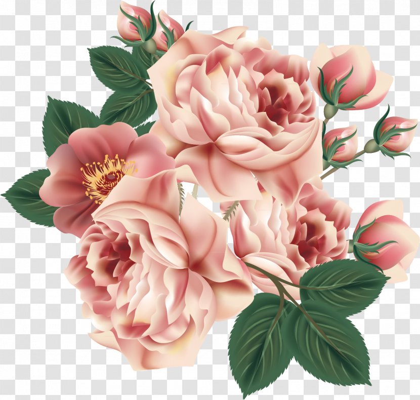 Centifolia Roses Flower Floral Design Garden - Arranging - Pattern Elements Transparent PNG