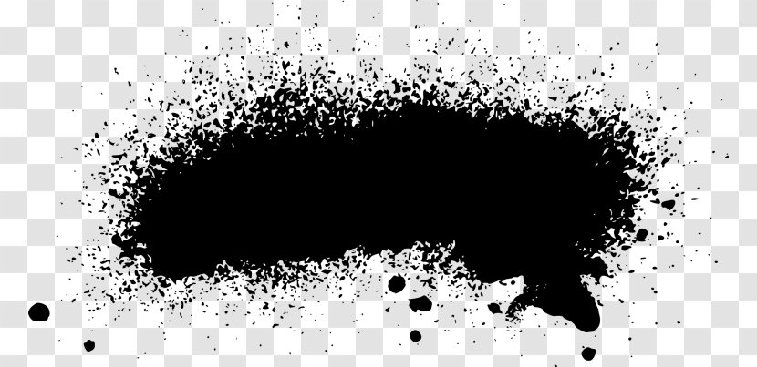 Black And White Monochrome Photography Paint - Painting Transparent PNG