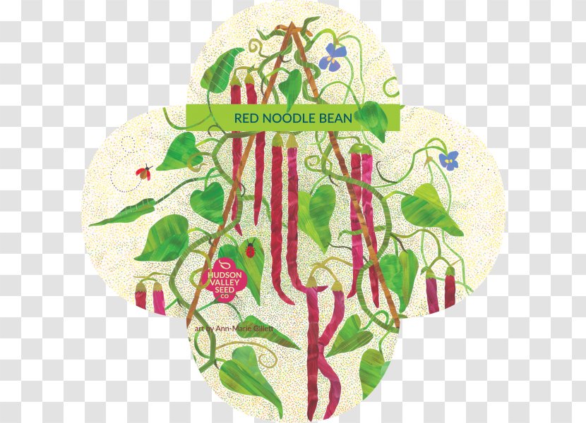 Seed Library Bean Company Fruit - Dragon Tongue - Flower Transparent PNG