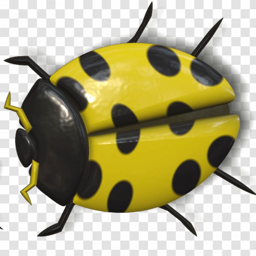 Beetle Yellow Ladybird Clip Art - Orange Transparent PNG