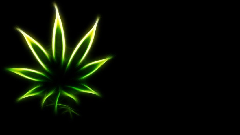 Rastafari Rasta Bob Cannabis Lion Of Judah Wallpaper - Marijuana Transparent PNG