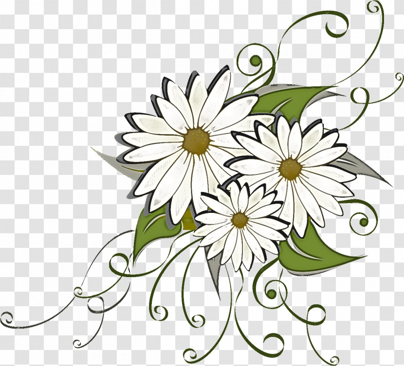 Marguerite Gerbera Daisy Transparent PNG