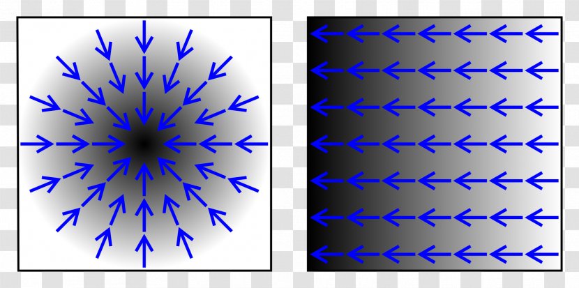Image Gradient Derivative Vector Field Function - Algorithm Transparent PNG