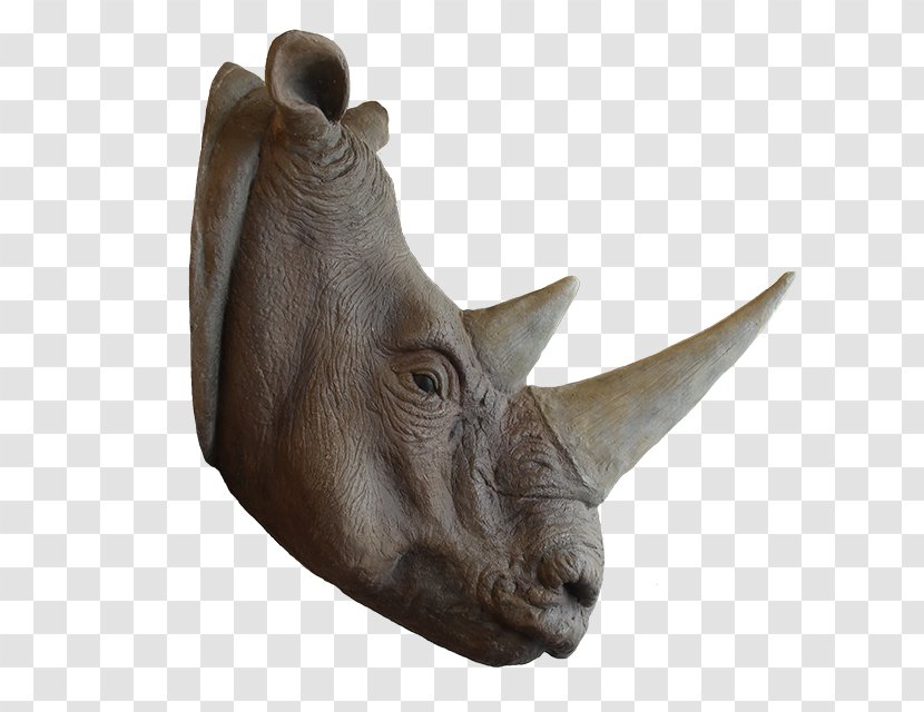 Rhinoceros Snout Horn Animal Cuteness - Rhino Head Transparent PNG