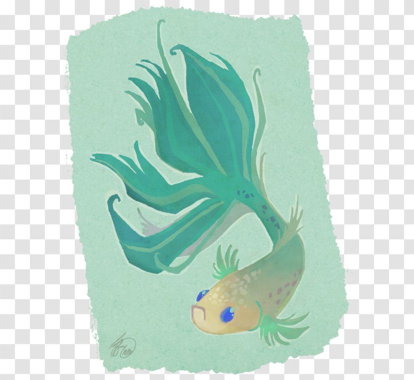 Marine Biology Fish Mammal Illustration - Parrotfish - Betta Infographic Transparent PNG