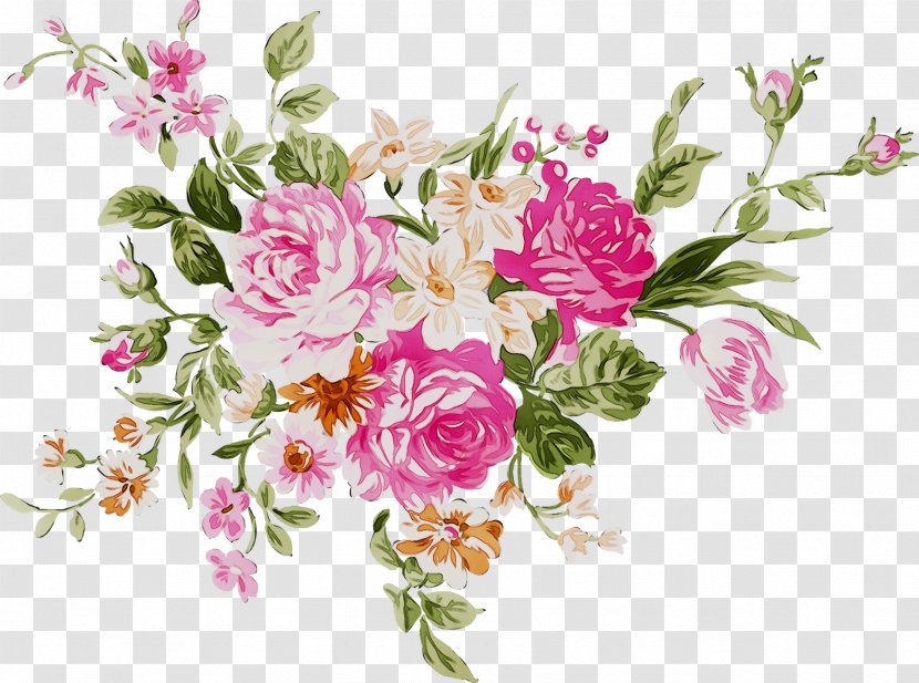 Garden Roses Multiflora Rose Floral Design Pink Cabbage Transparent PNG