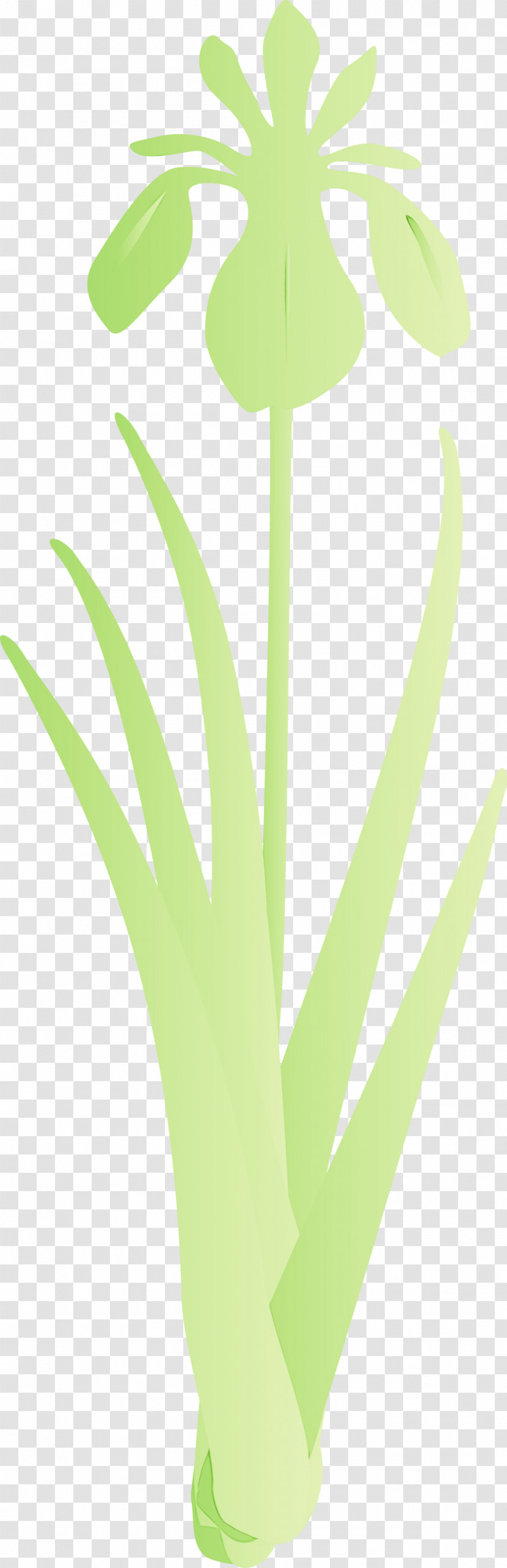 Green Leaf Plant Flower Grass Transparent PNG