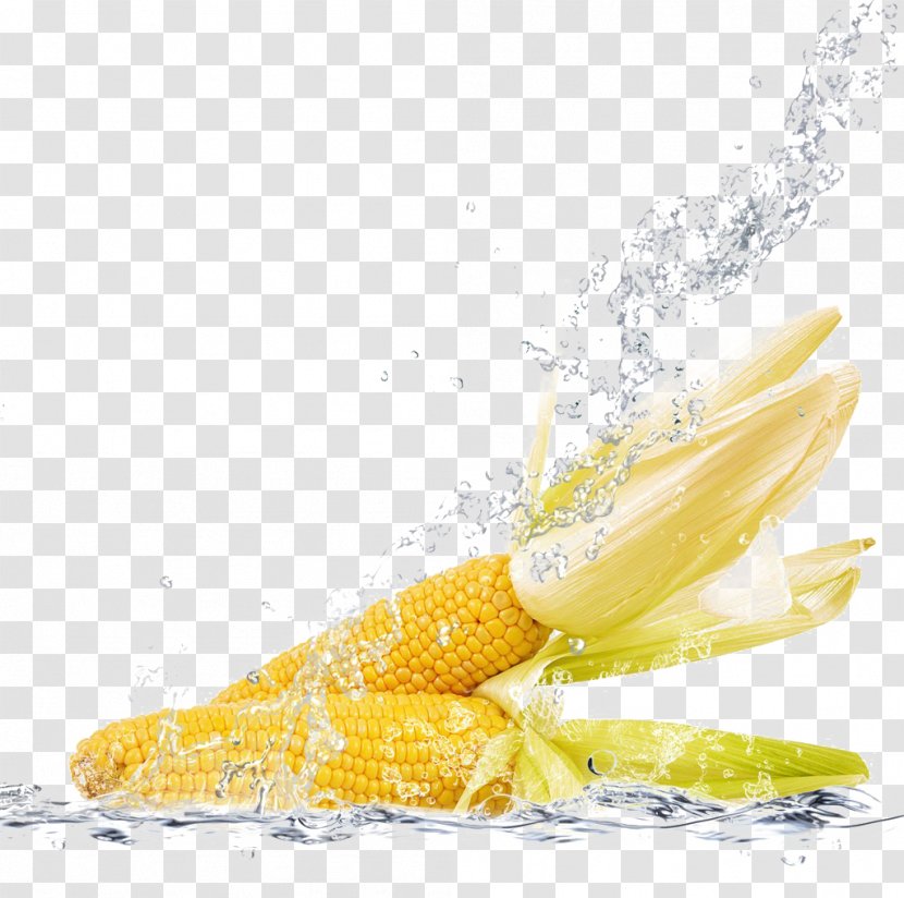 Tea Corn On The Cob Vegetable Broccoli Maize - Yellow - And Water Transparent PNG