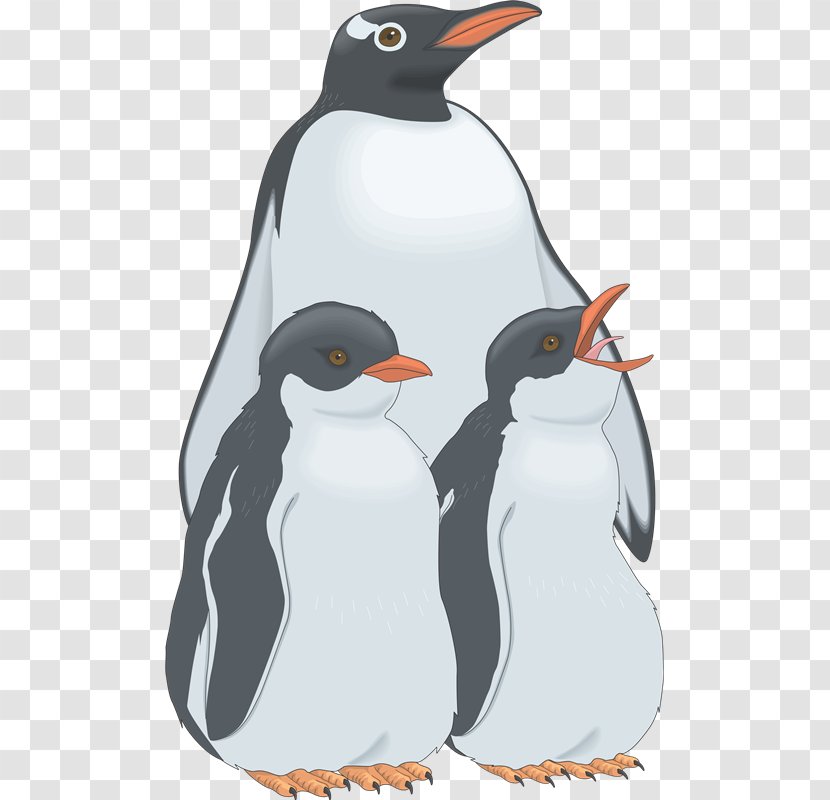 Penguin Clip Art - King - Aves Transparent PNG