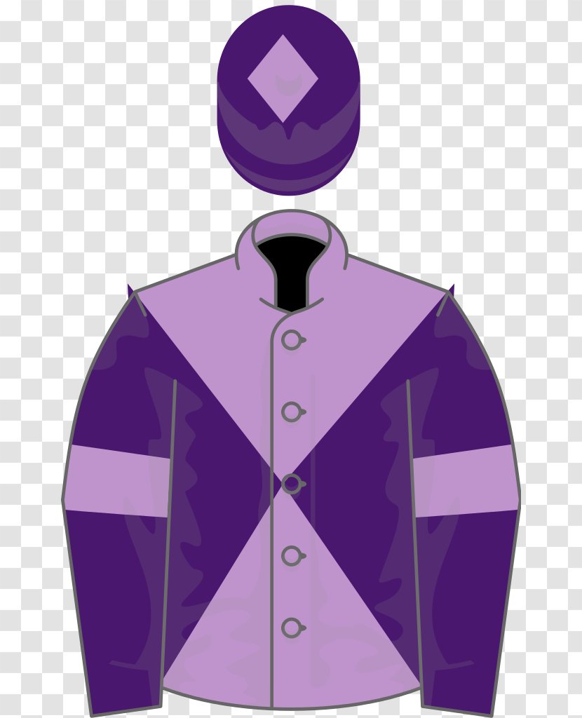 2006 Grand National Aintree Racecourse 1964 Thoroughbred Epsom Derby - Violet Transparent PNG