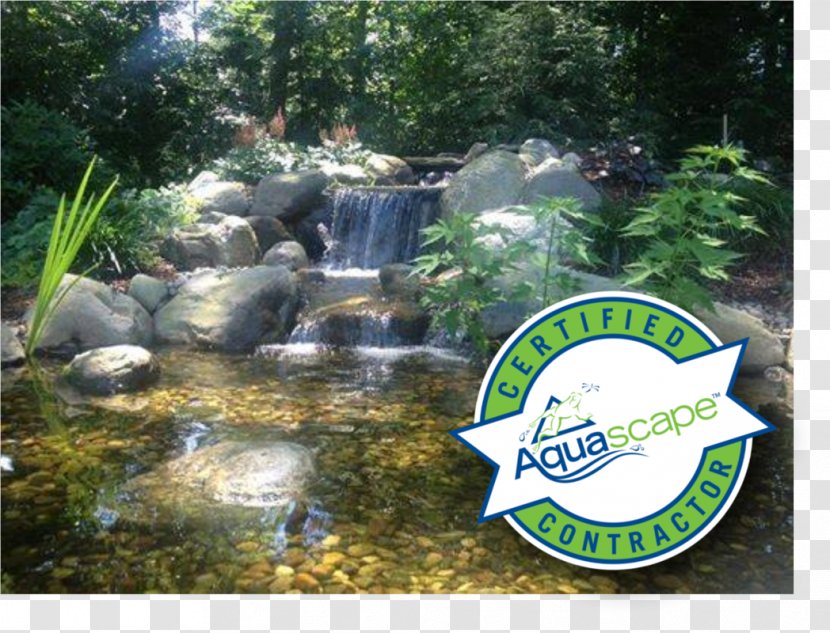 Pond Water Feature Garden Aquascape, Inc. - Aquascaping - Outdoors Agencies Transparent PNG