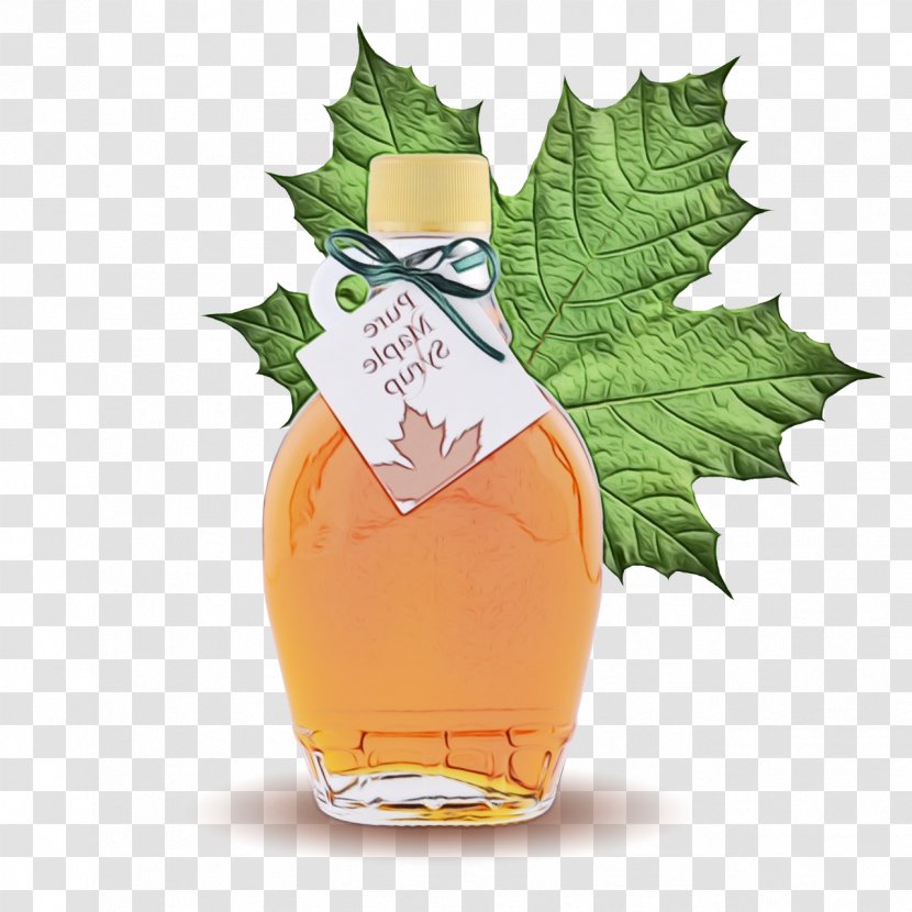 Color Background - Drink - Maple Syrup Herb Transparent PNG