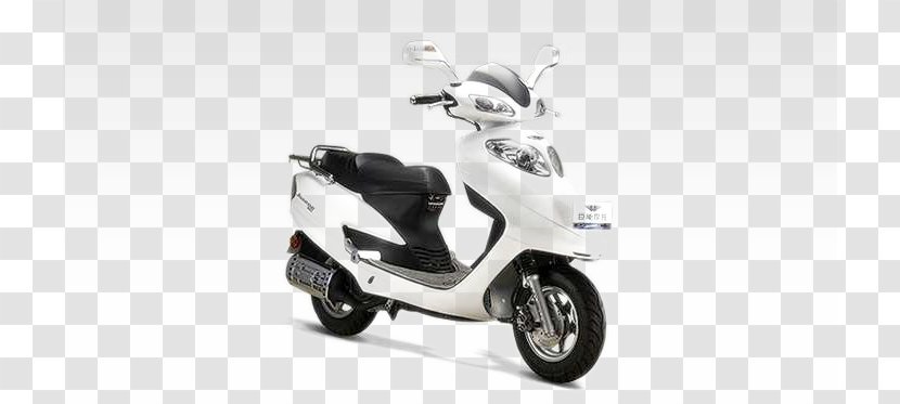 Motorized Scooter Motorcycle - Automotive Design - Giant To Transparent PNG