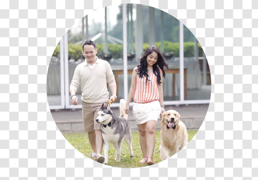 Dog Breed Leash Obedience Training Companion Transparent PNG
