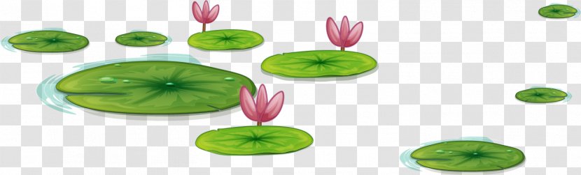 Download Computer File - Flower - Green Fresh Hawthorn Lotus Transparent PNG