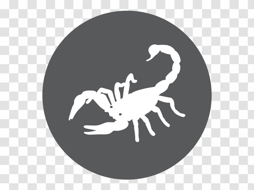 Scorpion Astrological Sign Horoscope Zodiac - Wing - Scorpions Transparent PNG