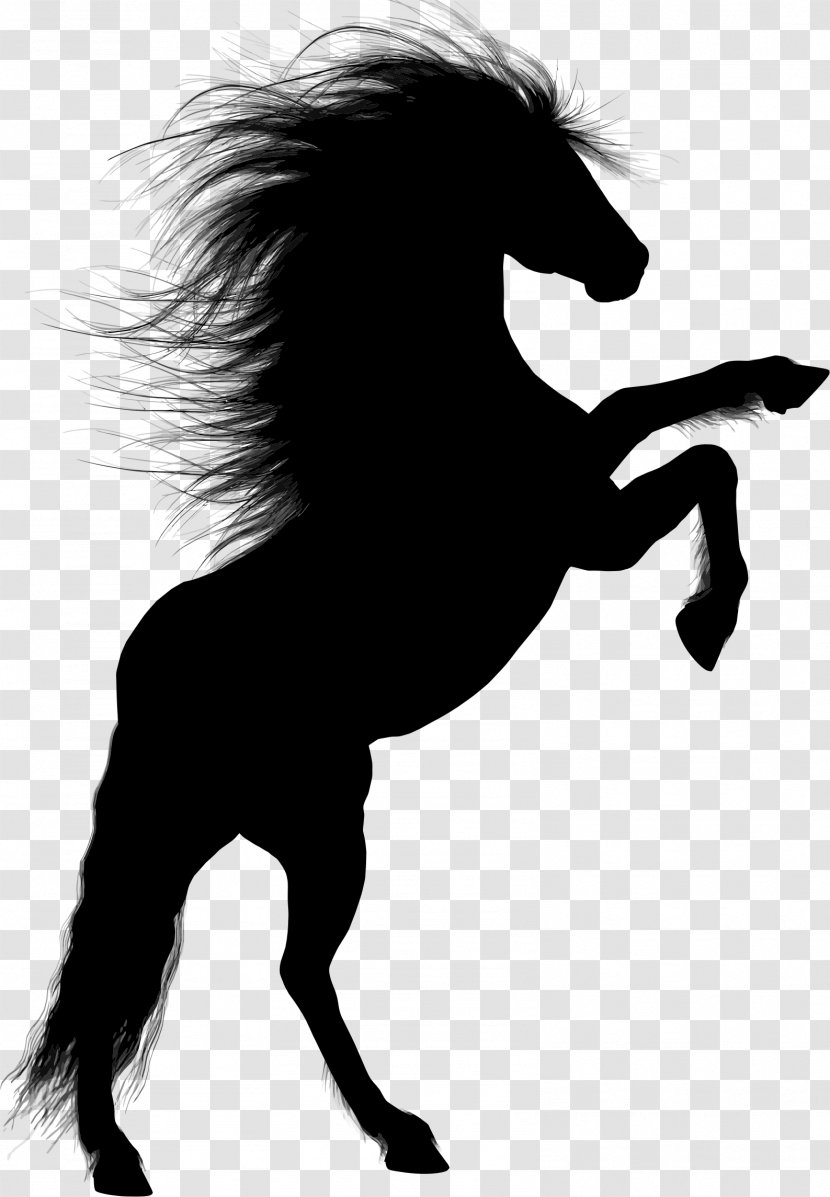 Horse Stallion Rearing Silhouette - Monochrome Transparent PNG