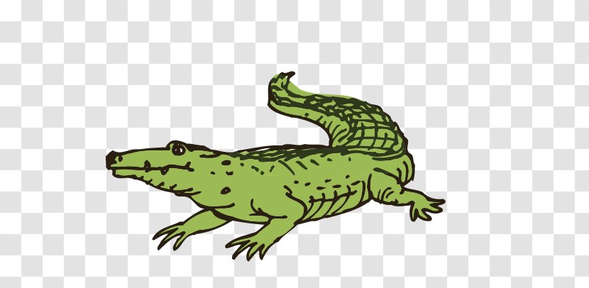 Crocodile Euclidean Vector Computer File - Terrestrial Animal Transparent PNG