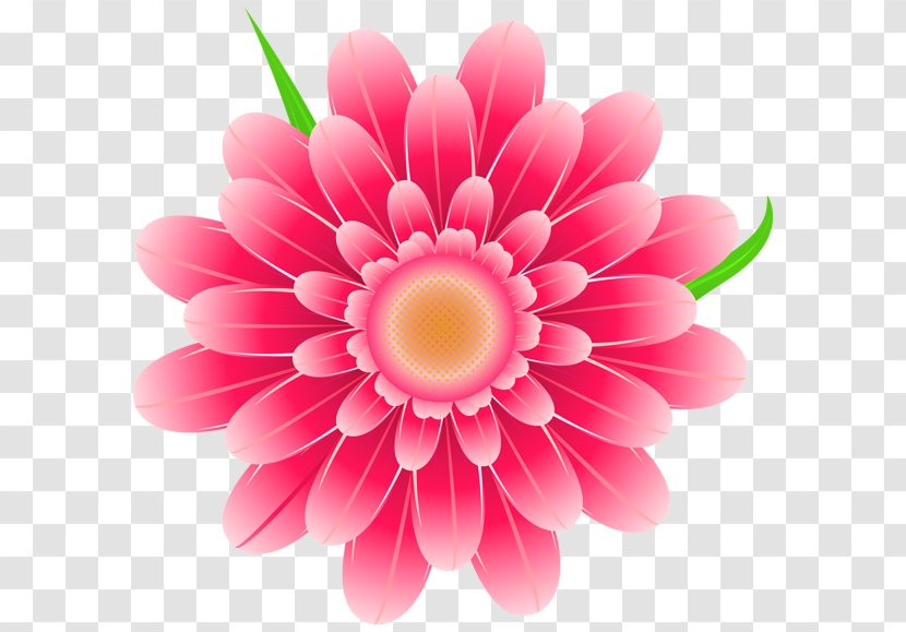 Pink Flowers Clip Art - Gerbera - Green Transparent PNG