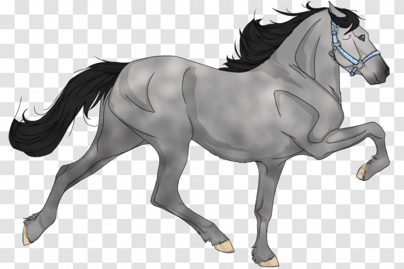 Mustang Mane Stallion Pony Foal - Gypsy Horse - Hen Species Transparent PNG
