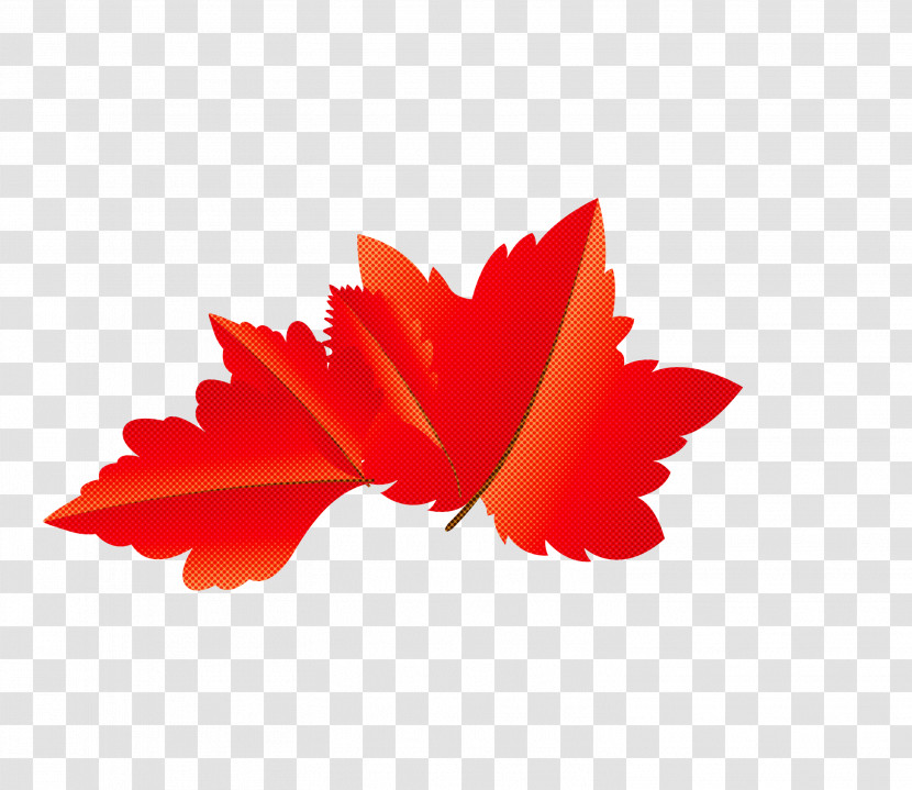 Maple Leaf Transparent PNG