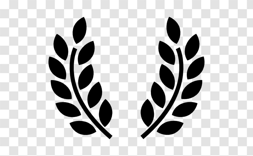 Olive Branch Peace Symbols - Photography - Symbol Transparent PNG