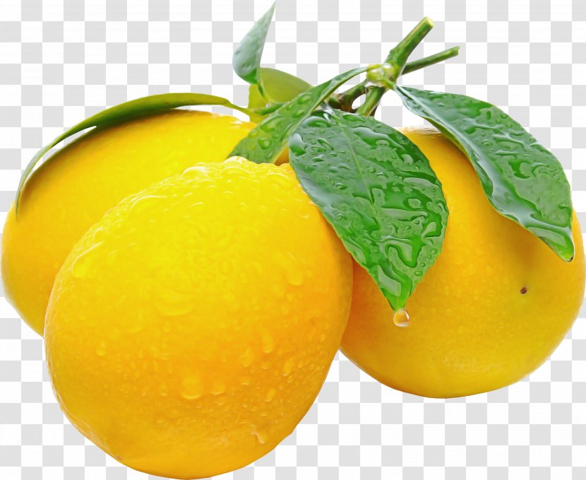 Yellow Fruit Food Natural Foods Plant - Sweet Lemon - Vegetarian Transparent PNG