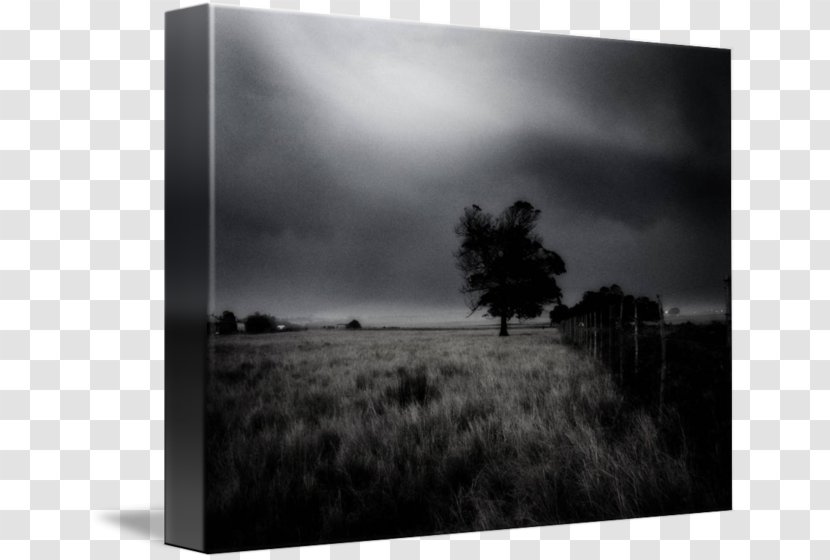 Black And White Picture Frames Still Life Photography Stock - Cloud - Field Dreams Transparent PNG