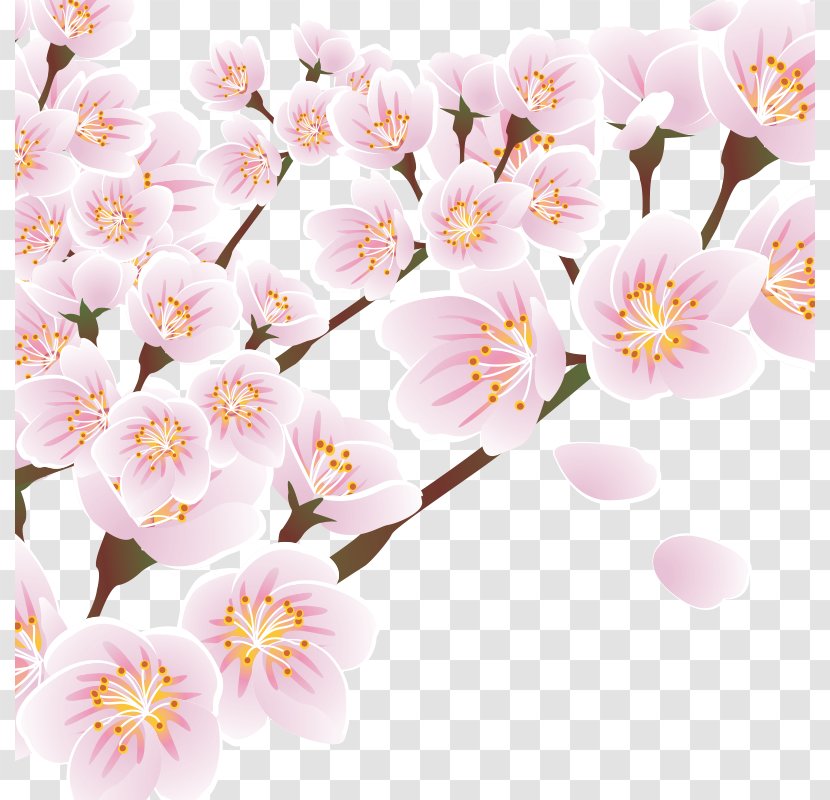 Gratis Download Wallpaper - Petal - Peach Creative Transparent PNG