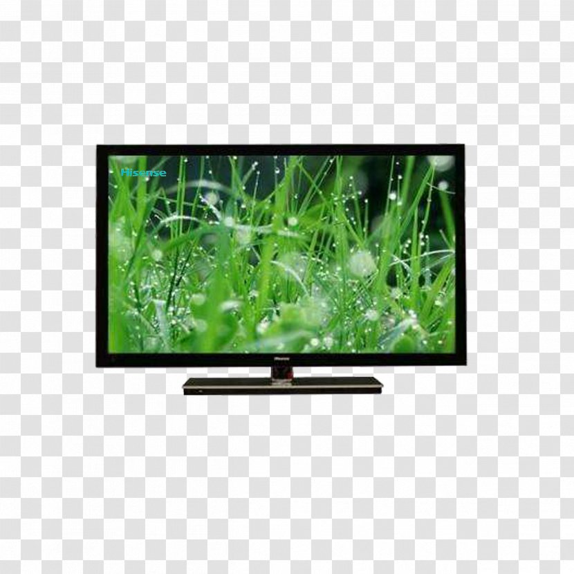 Nature Display Resolution Natural Environment Computer Monitor Wallpaper - Television - Hisense TV Transparent PNG