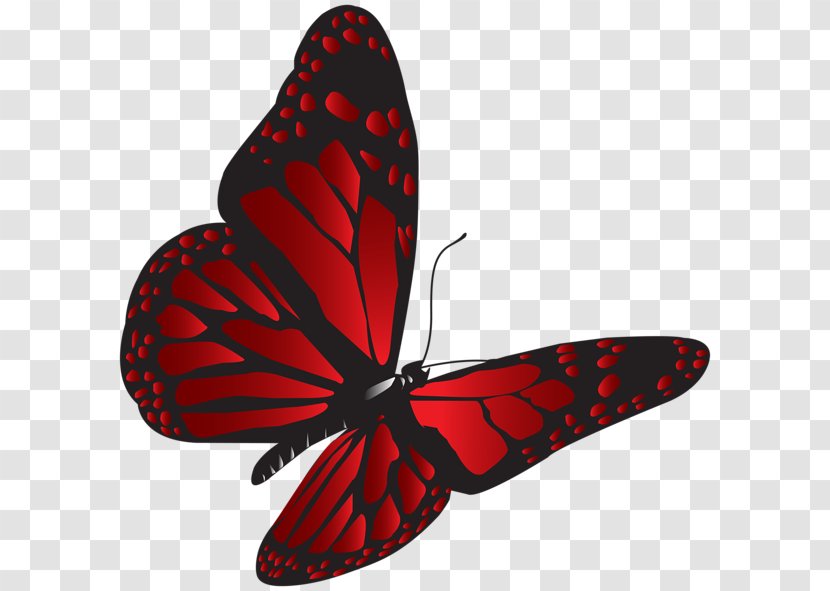 Butterfly Red Clip Art - Image Resolution Transparent PNG