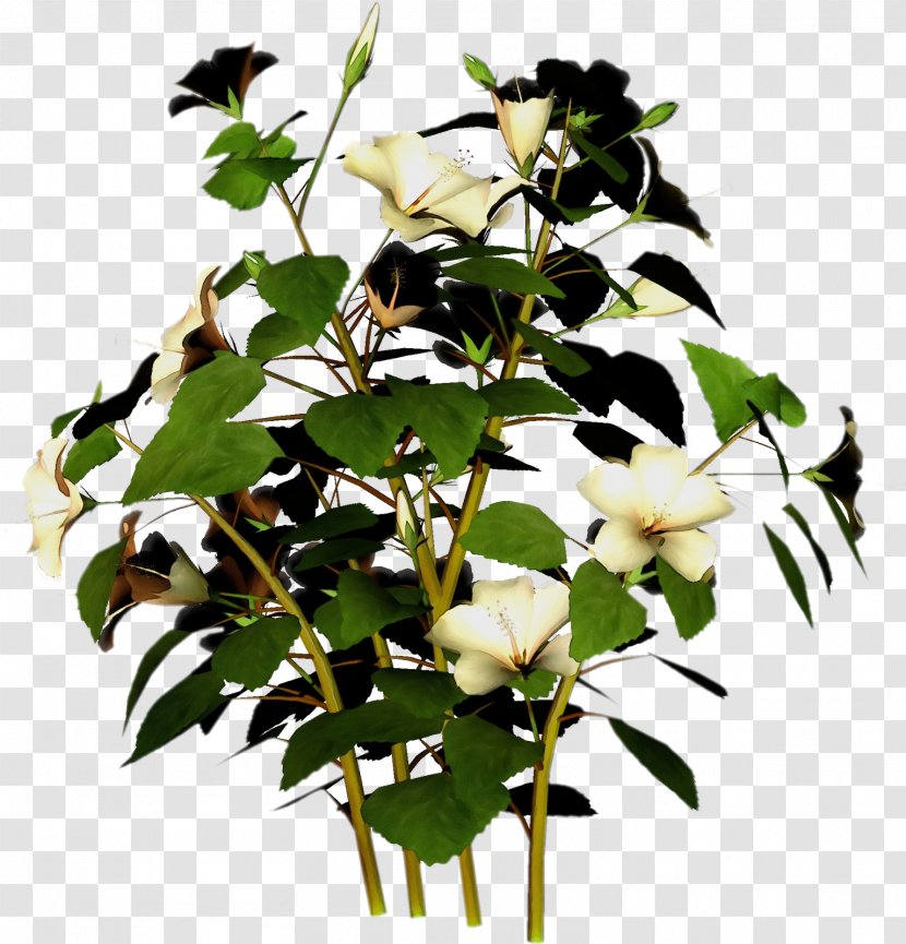 Floral Design - Branch - Twig Anthurium Transparent PNG