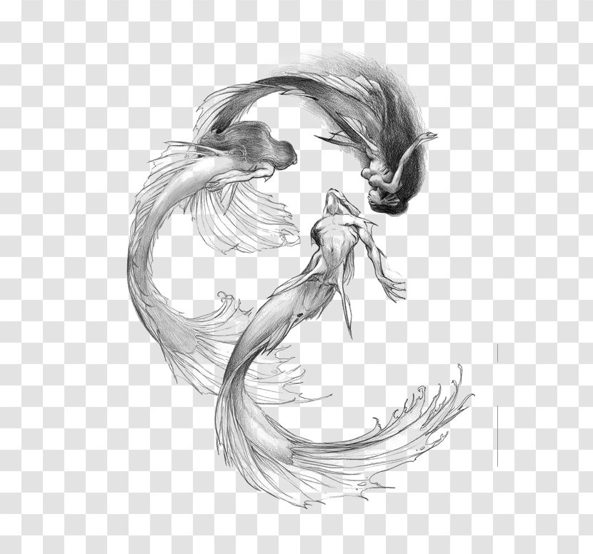 Mermaid Drawing Siren Sketch - Mythical Creature Transparent PNG