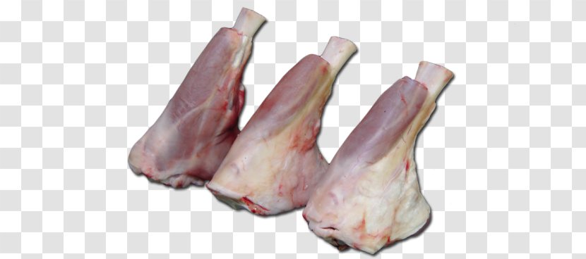 Bacon Ham Lamb And Mutton Shank Meat - Watercolor Transparent PNG