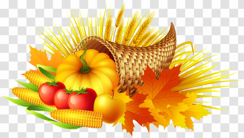 Thanksgiving Cornucopia Clip Art - Vegetarian Food Transparent PNG