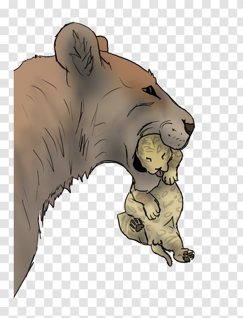 Lion Big Cat Bear Claw - Mammal Transparent PNG