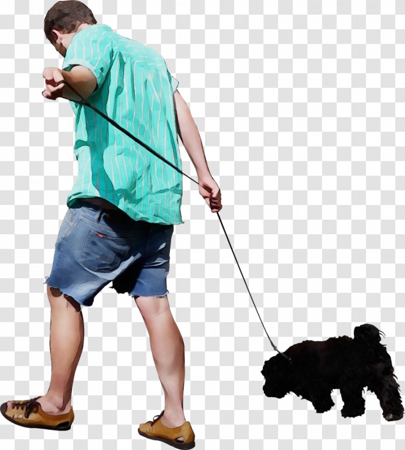 Leash Dog Walking Obedience Training - Portuguese Water - Companion Transparent PNG