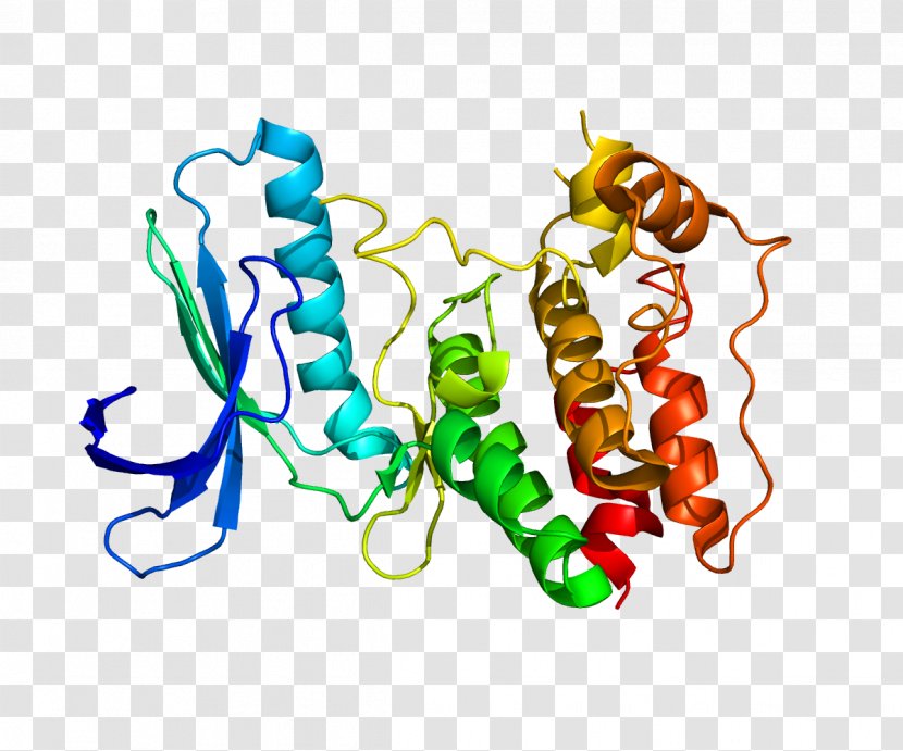 Protein Kinase TTK Kalirin Gene - Duplication - Art Transparent PNG