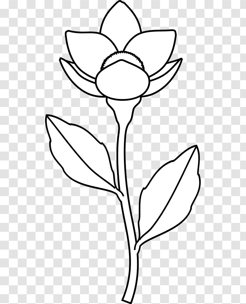Floral Design Cut Flowers Plant Stem Leaf /m/02csf - Flora - MONE Transparent PNG