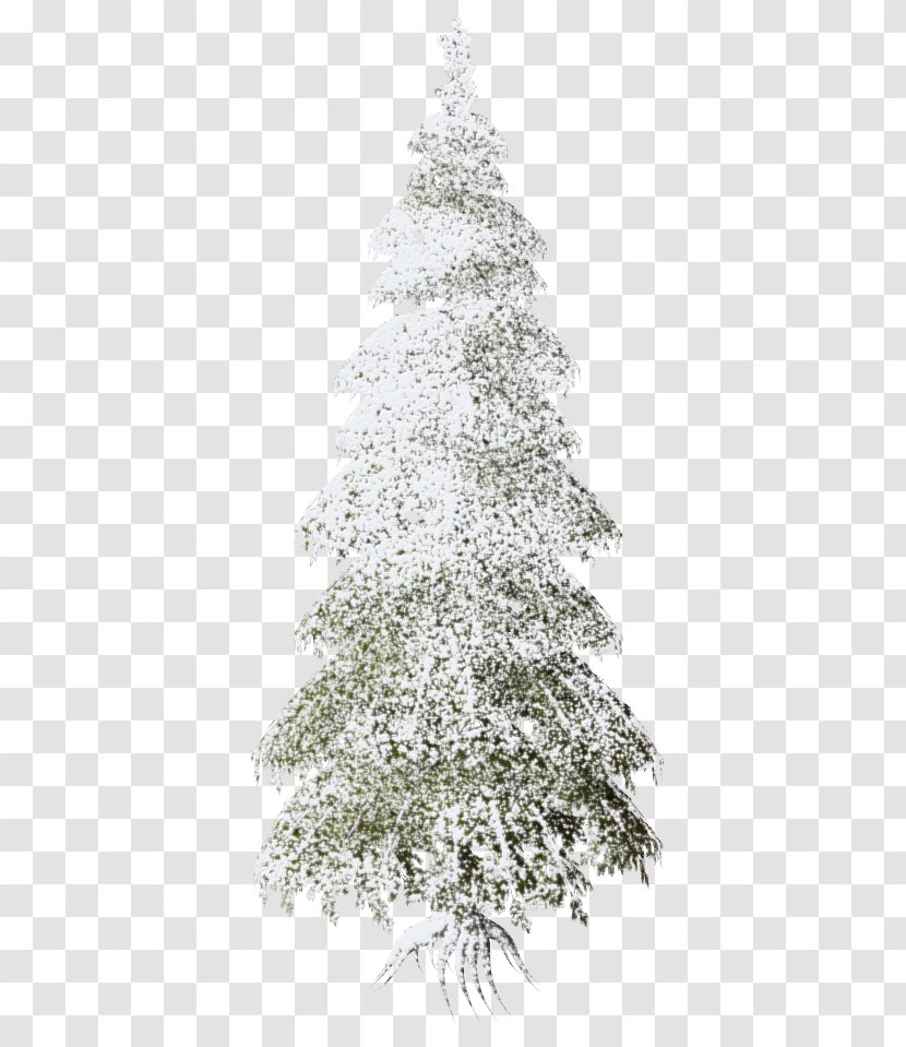 Christmas Day Tree Spruce Ornament Transparent PNG