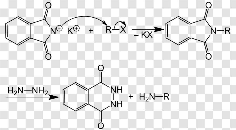 Potassium Phthalimide Gabriel Synthesis Warfarin Name Reaction - Crotonic Acid Transparent PNG
