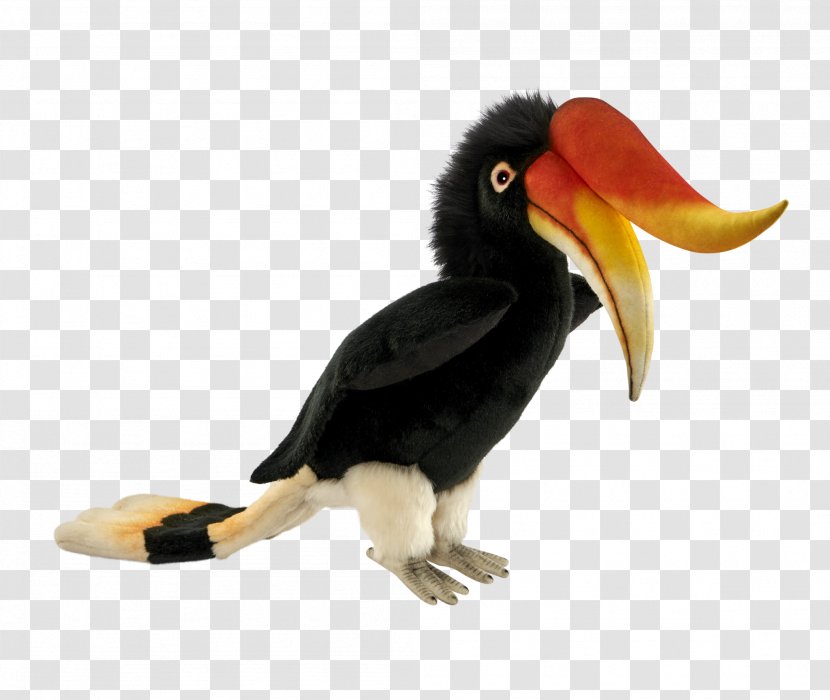 Toucan Fauna Beak Hornbill - Bird Transparent PNG
