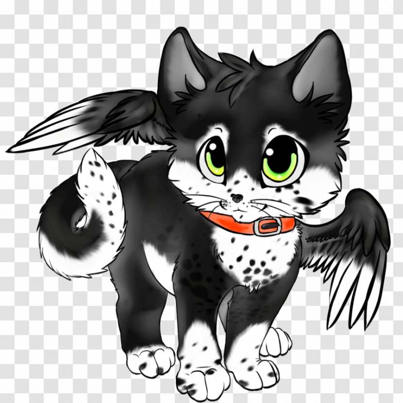 Whiskers Kitten Black Cat Dog - Vertebrate Transparent PNG