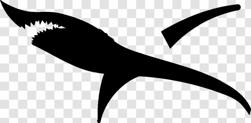 Cricut Great White Shark Silhouette Clip Art - Tiger Transparent PNG